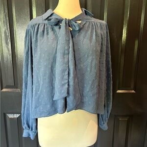 Line & Dot Blue Blouse with Elegant Design